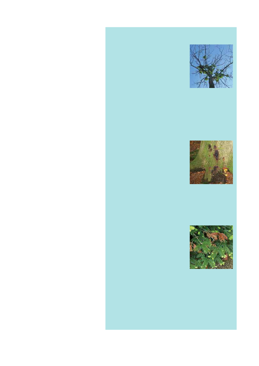 1951829_0053.png