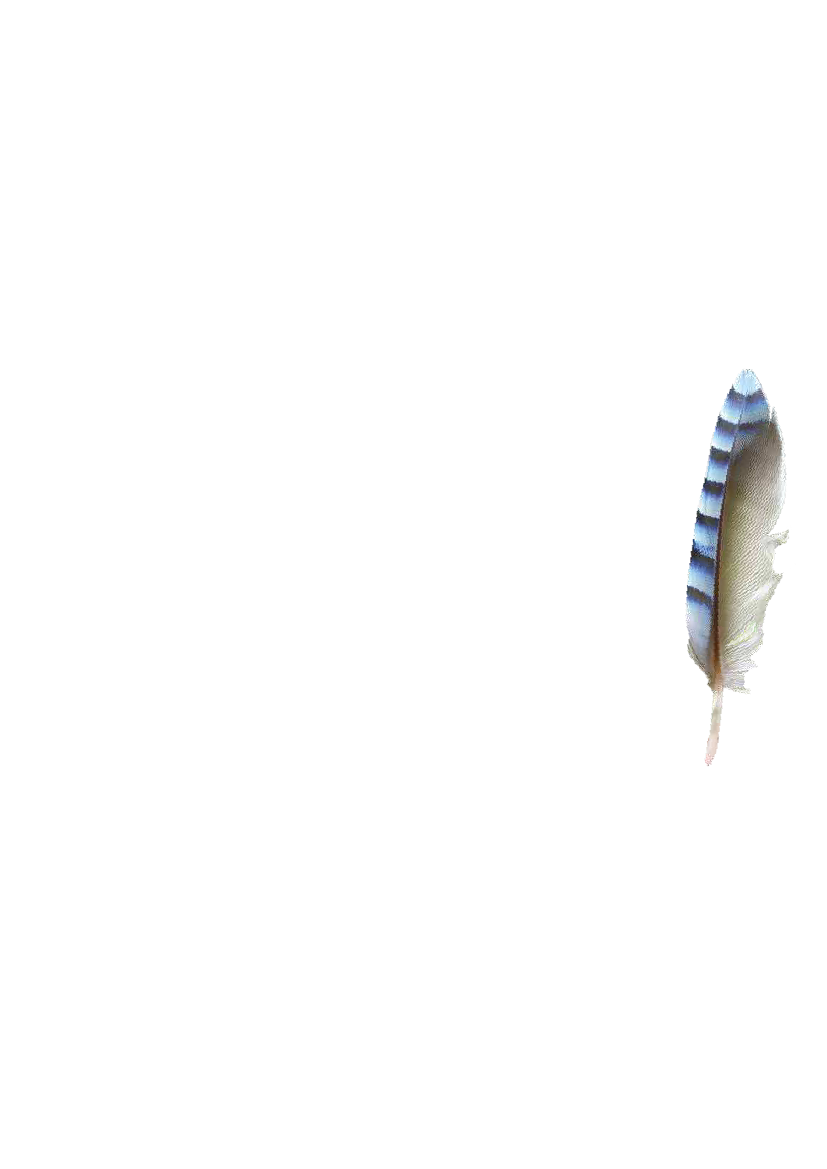 1951829_0063.png