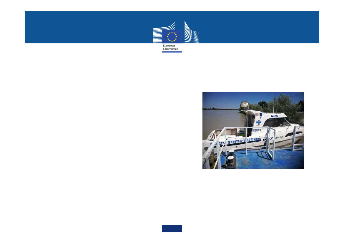 1955003_0009.png