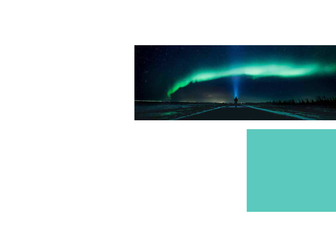1955556_0006.png