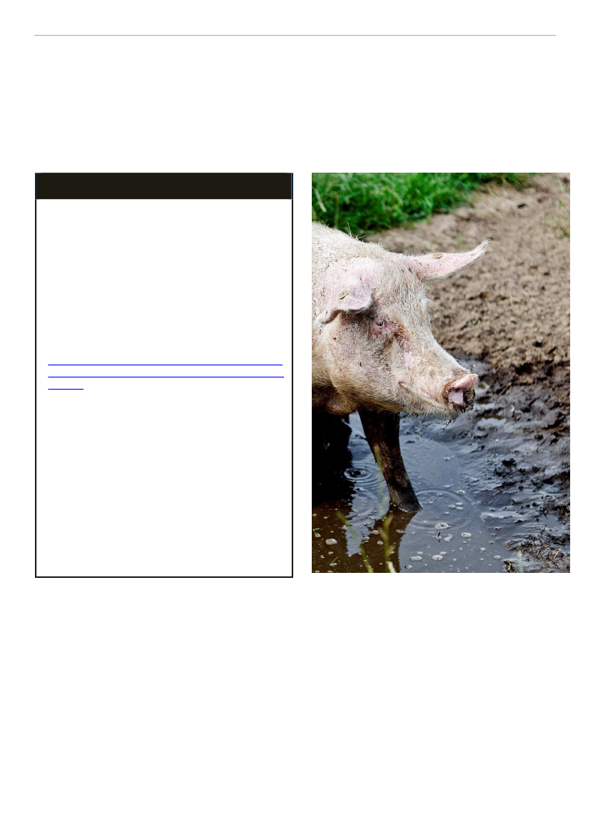 1962747_0009.png