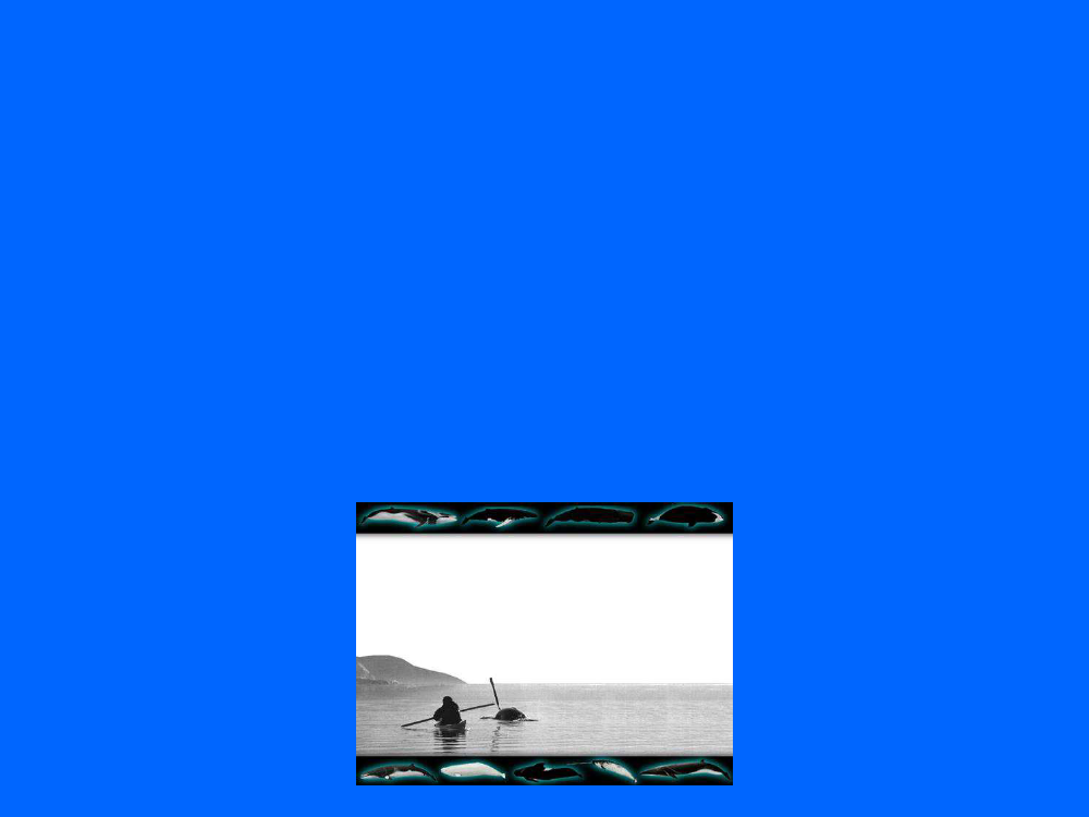 1963748_0008.png