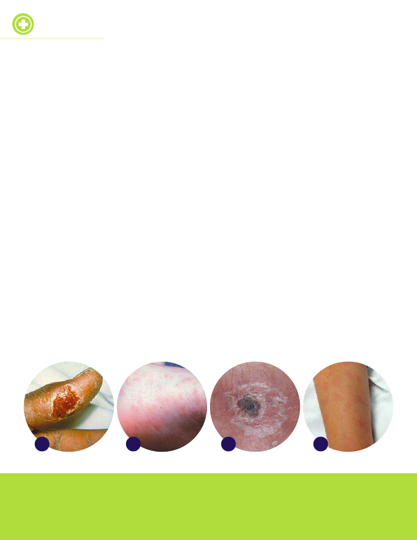 1971546_0040.png