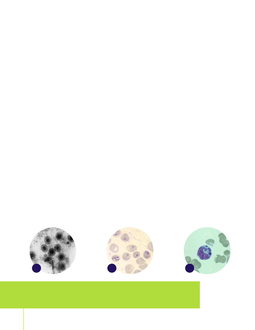 1971546_0048.png