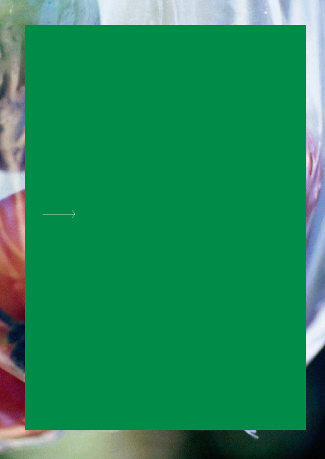 1982313_0007.png