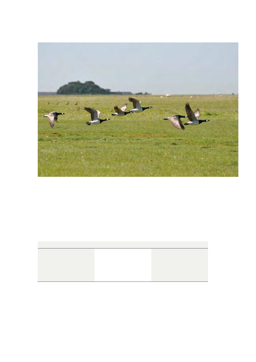 1983199_0019.png