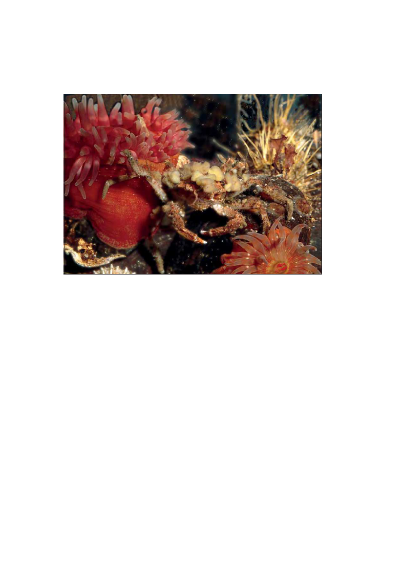 1983199_0022.png