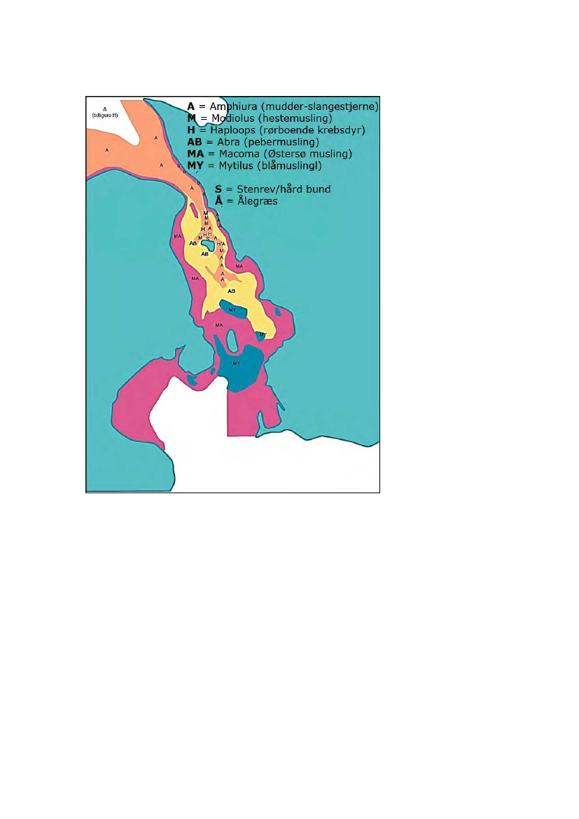 1983199_0034.png
