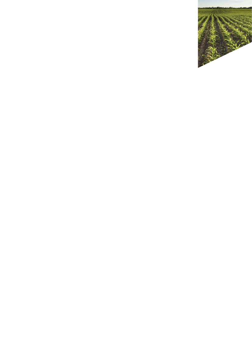 1992254_0007.png