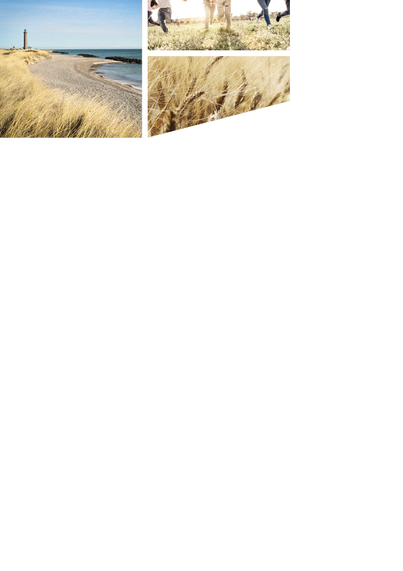 1992254_0008.png