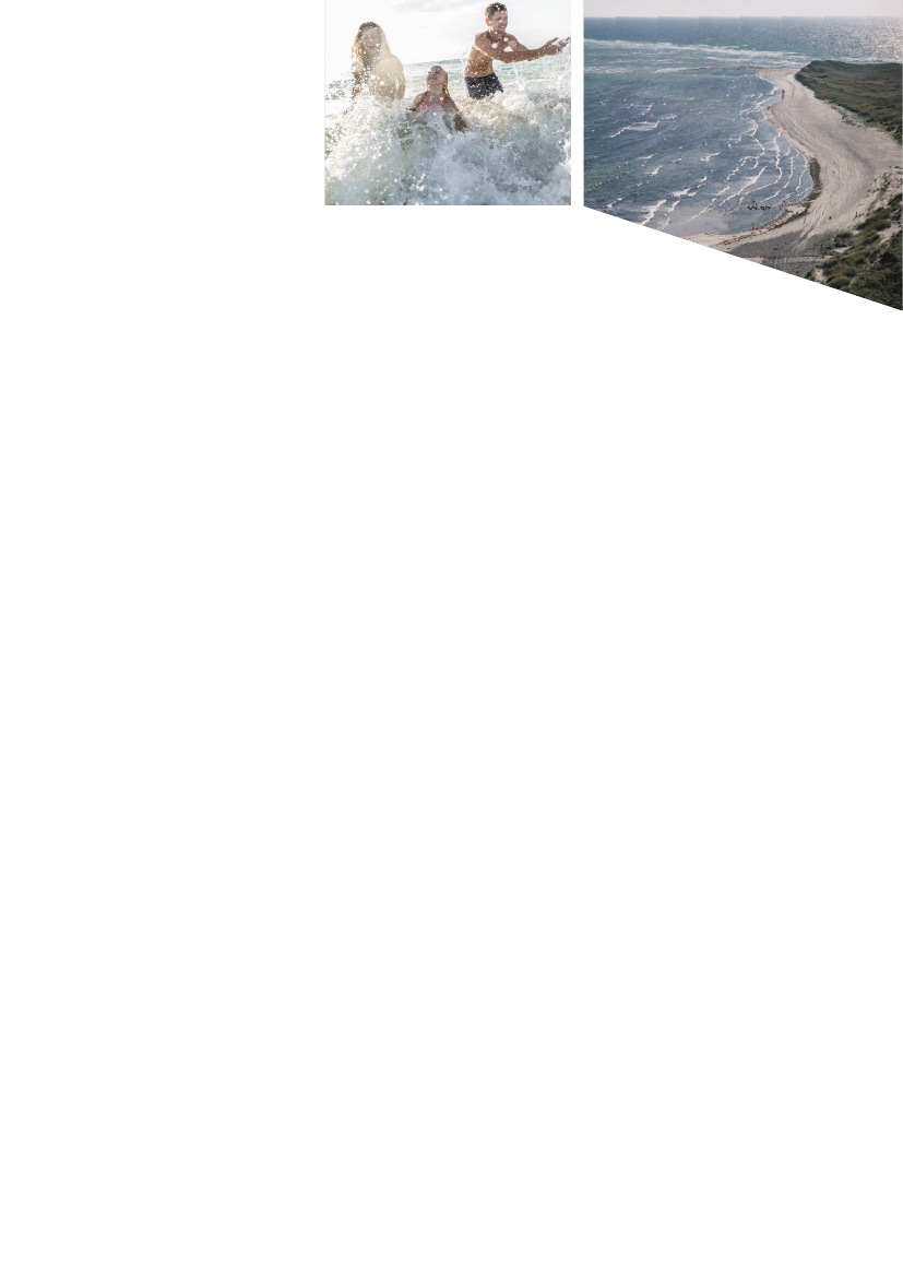 1992254_0019.png