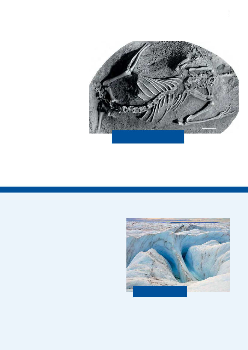 1484920_0007.png