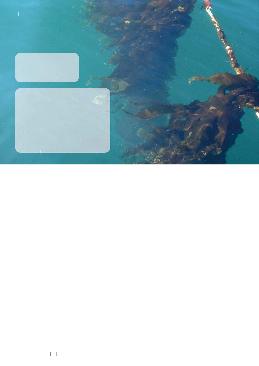 1484920_0034.png