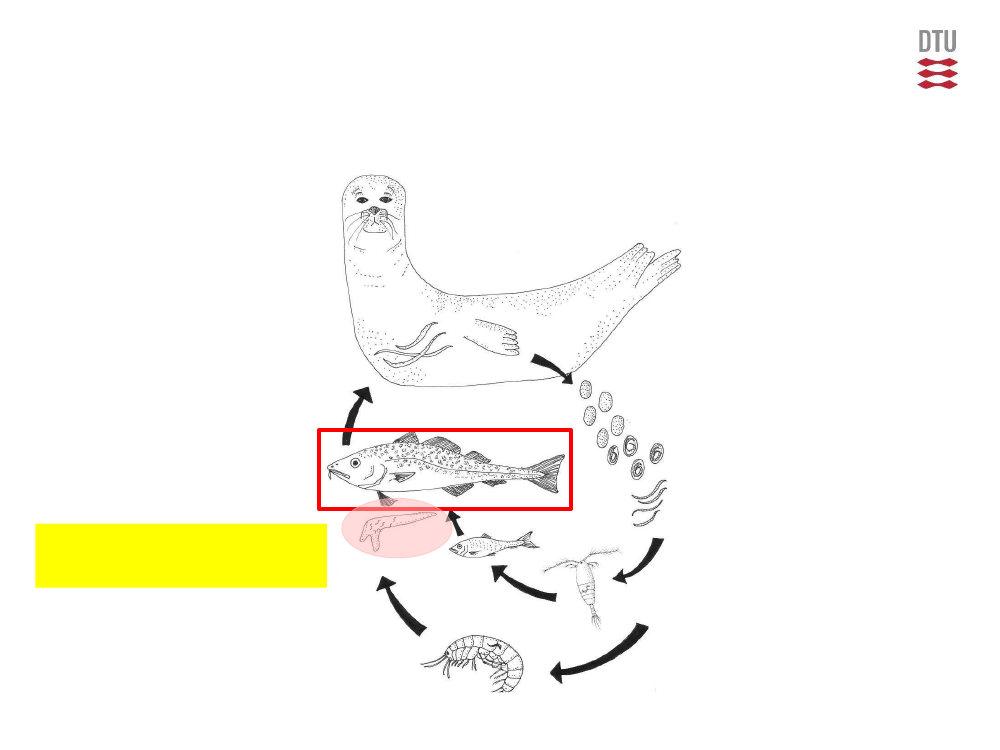 2005349_0010.png