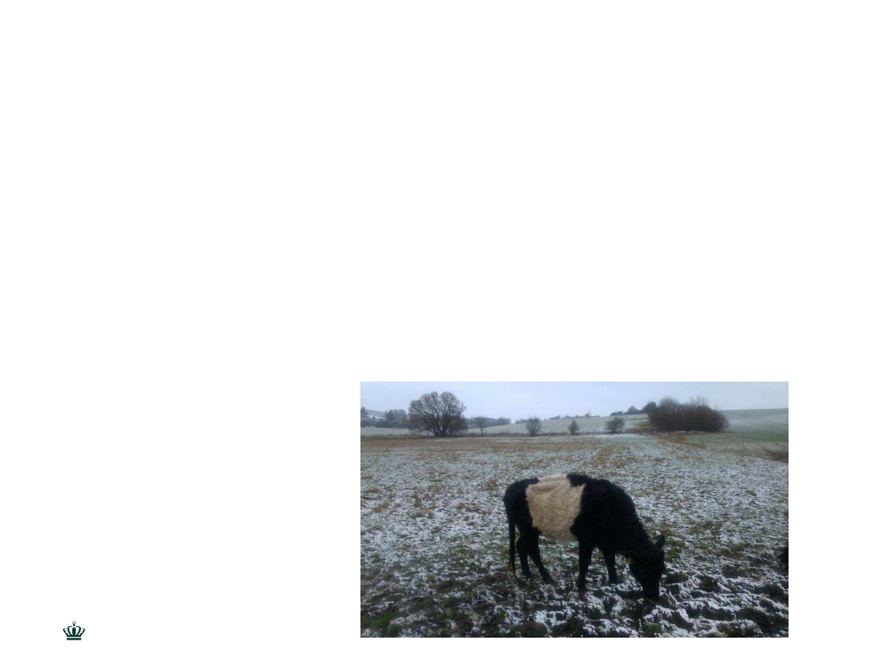 2019169_0007.png