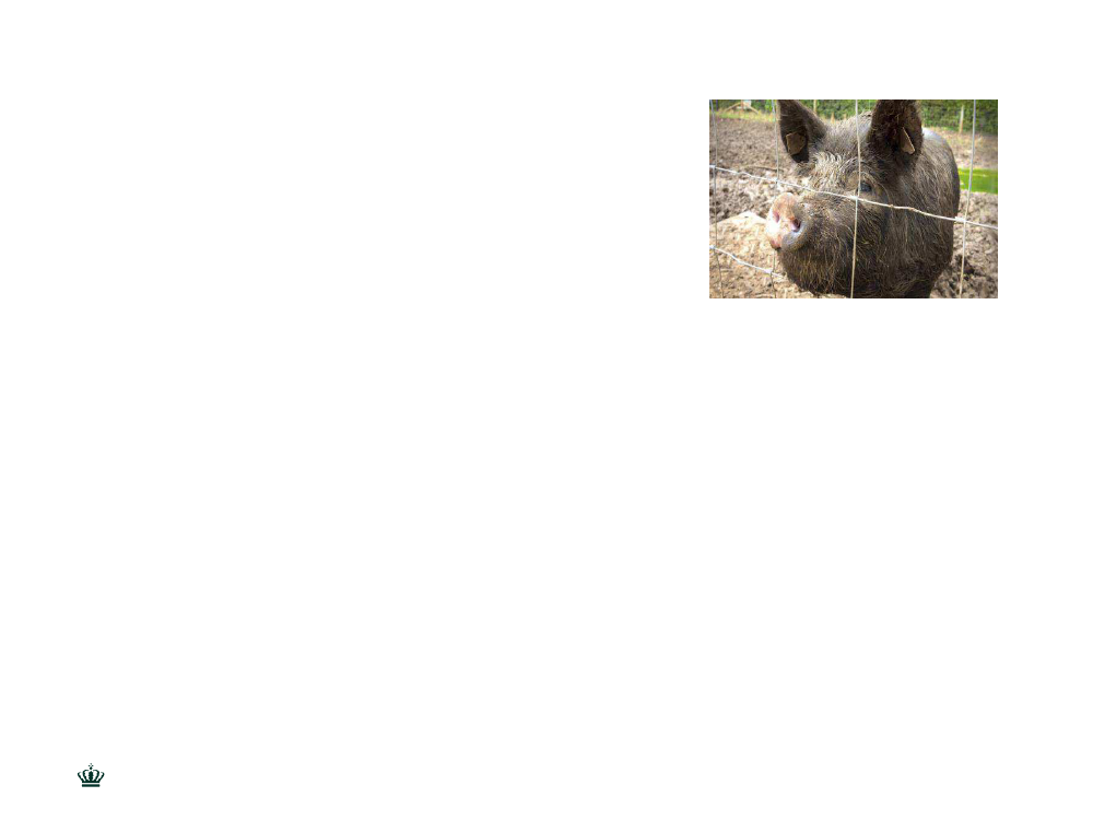 2019169_0012.png