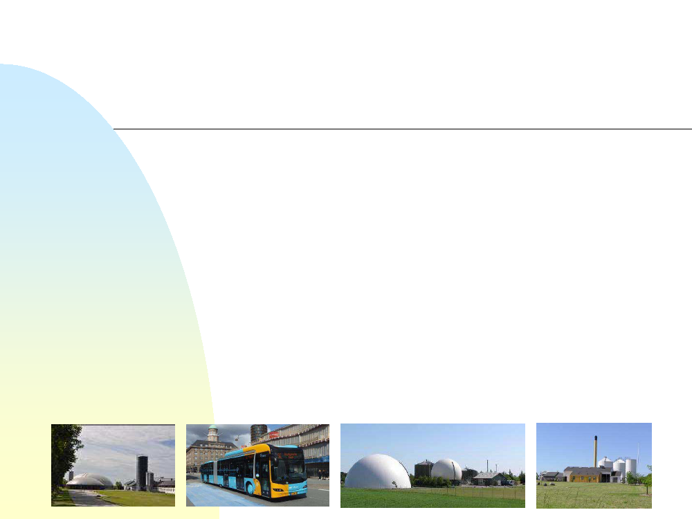 2019378_0001.png