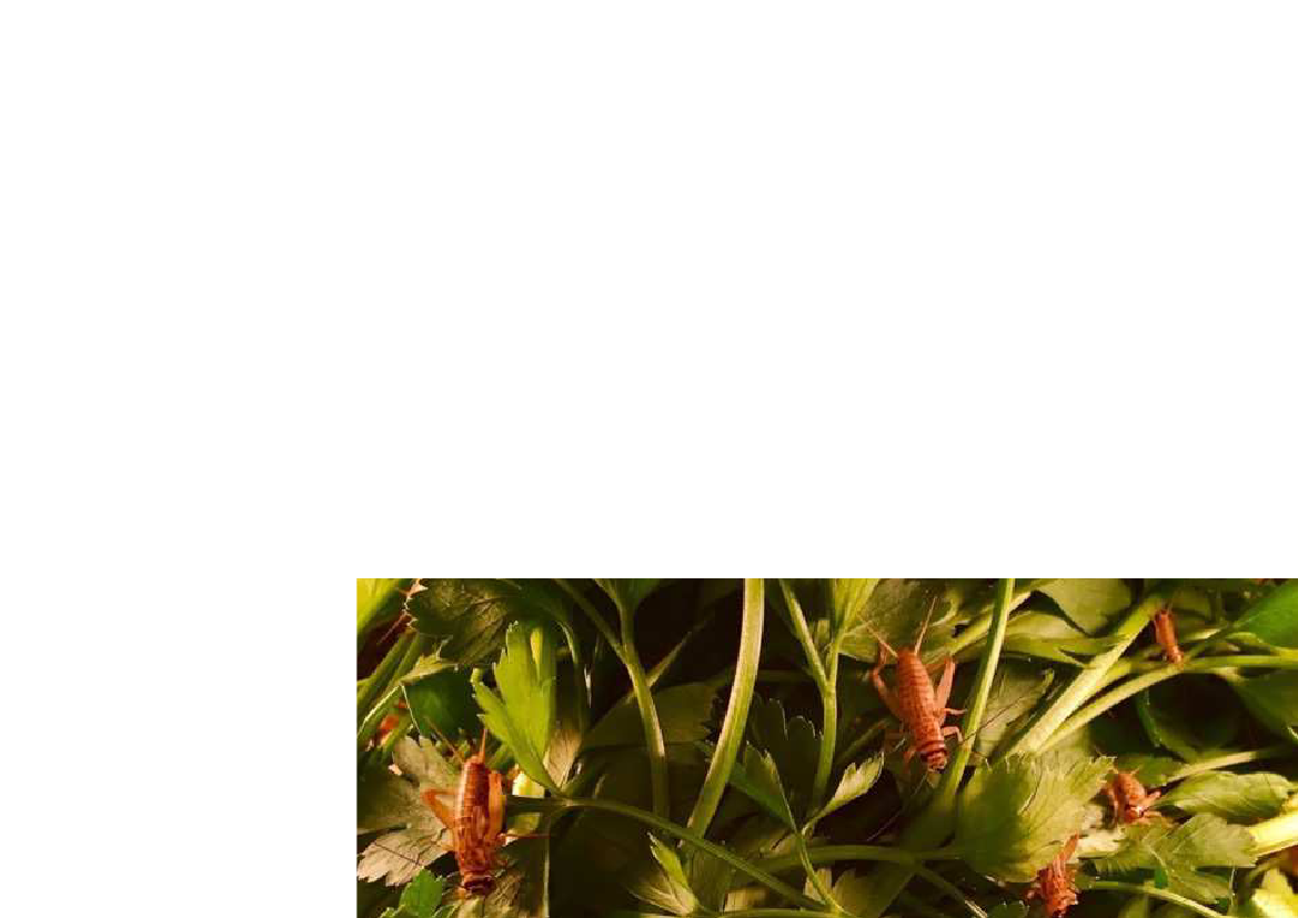 2044369_0012.png