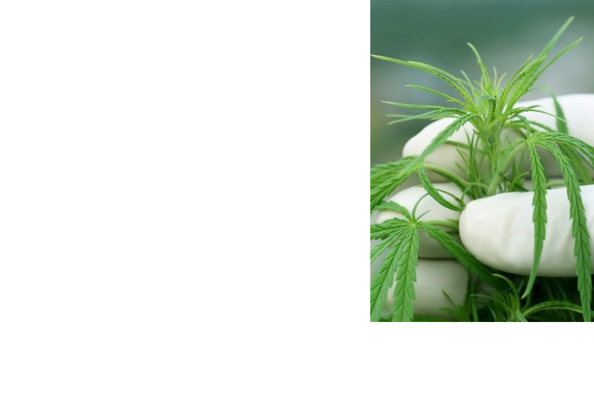2044369_0020.png