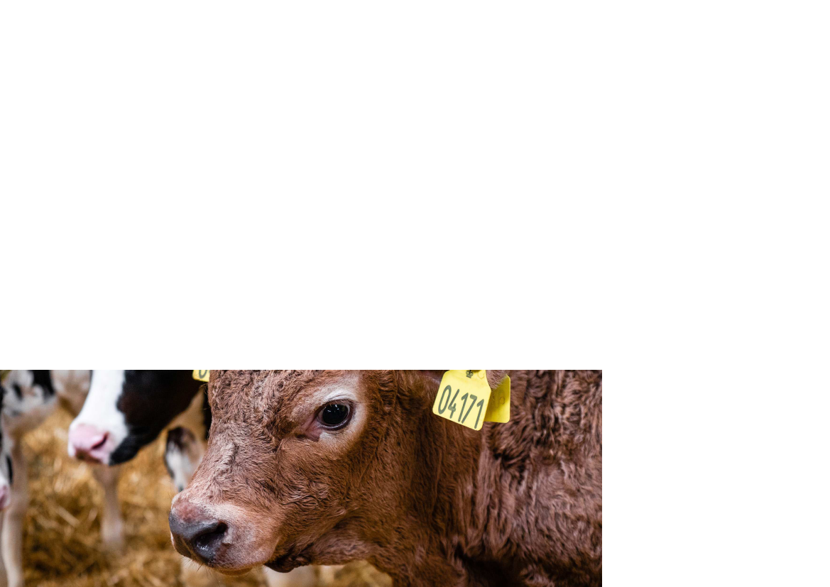 2044369_0023.png