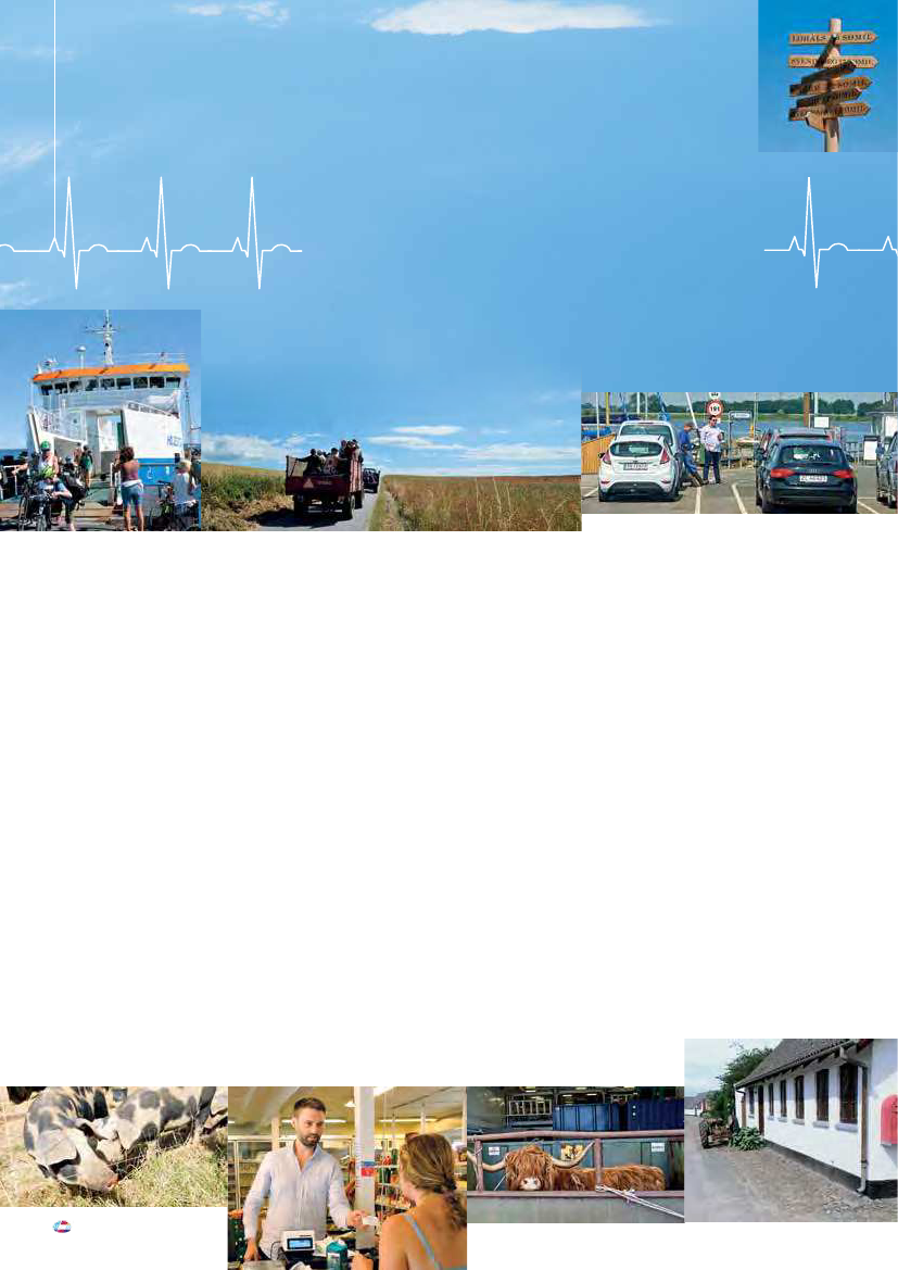 2054702_0014.png