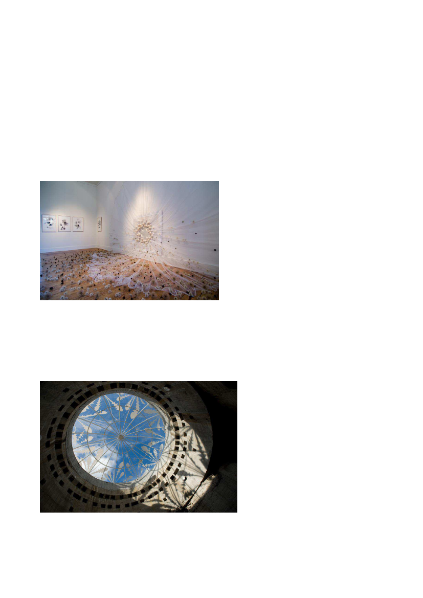 2070303_0011.png