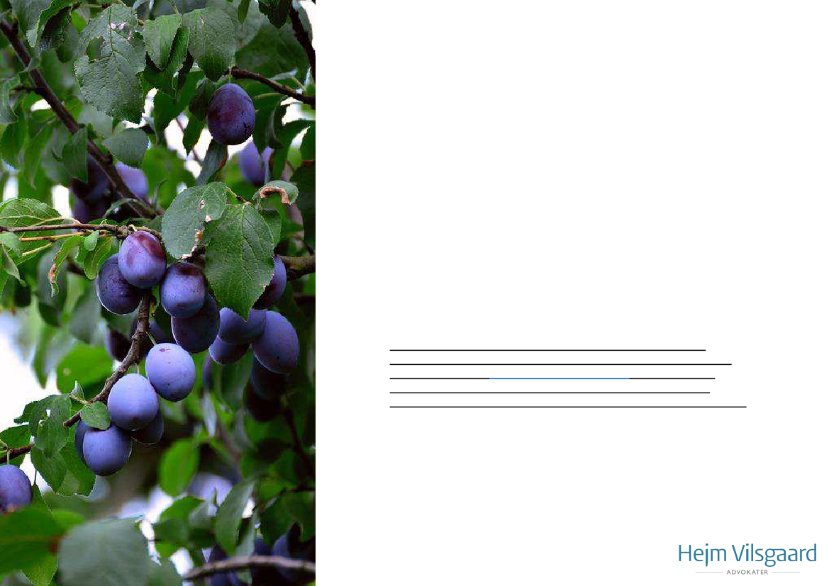 2073640_0002.png