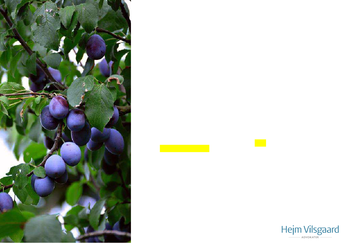 2073640_0009.png