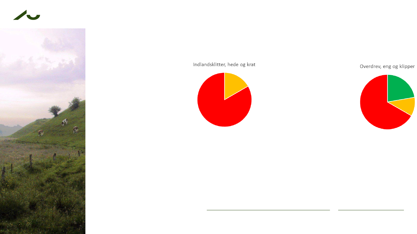 2098693_0027.png