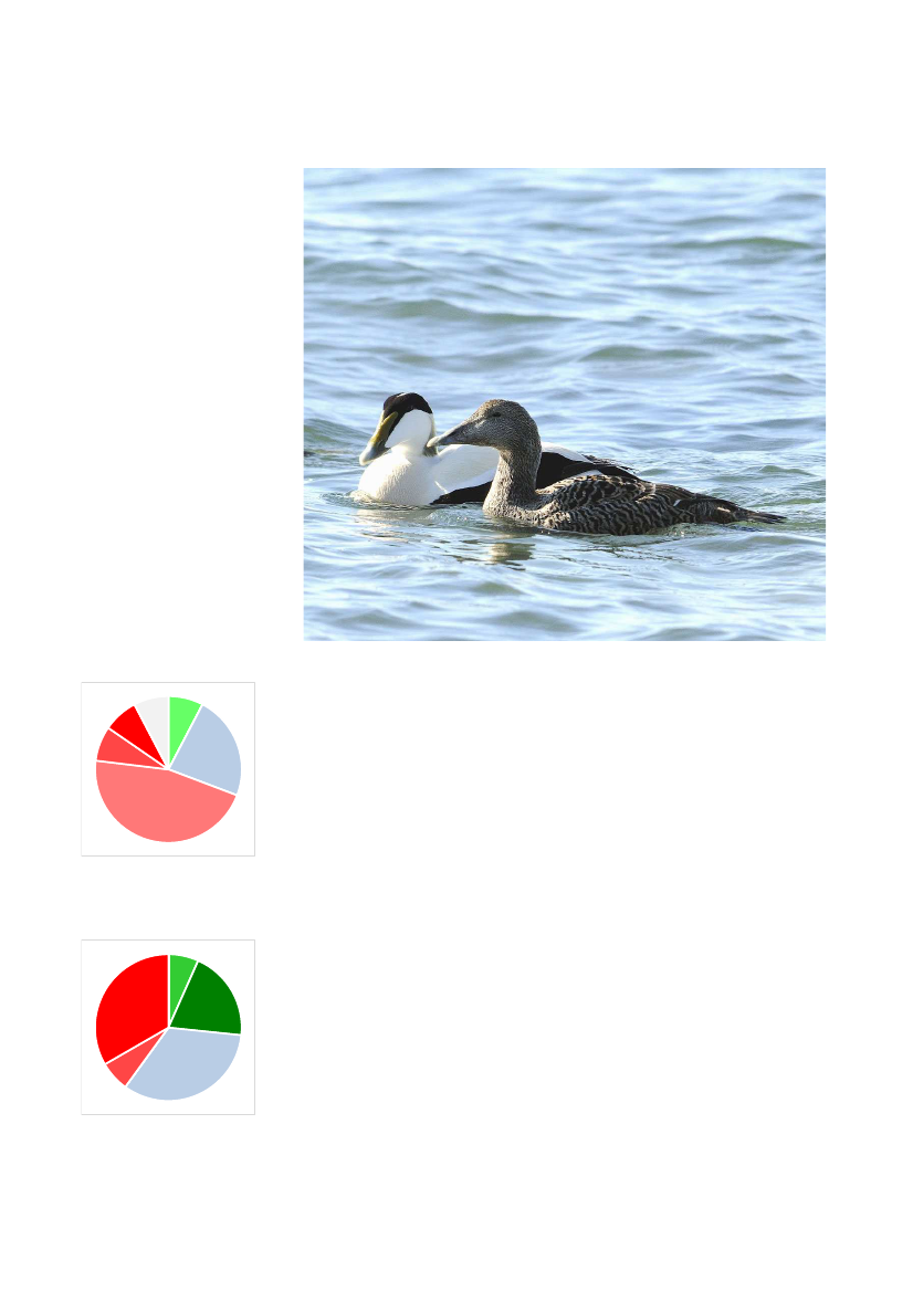 2135714_0016.png