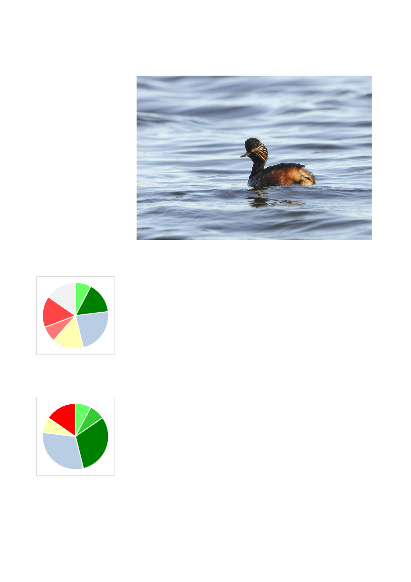 2135714_0018.png