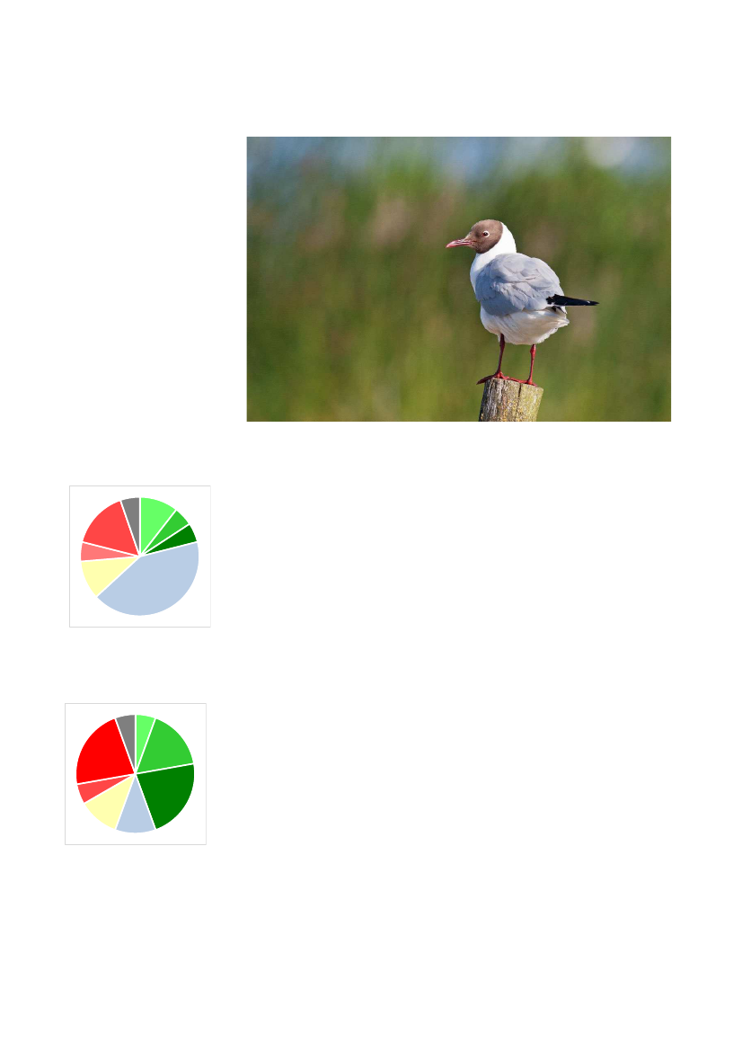 2135714_0024.png