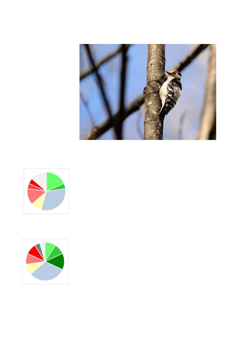 2135714_0028.png