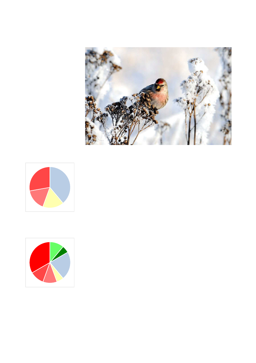 2135714_0040.png