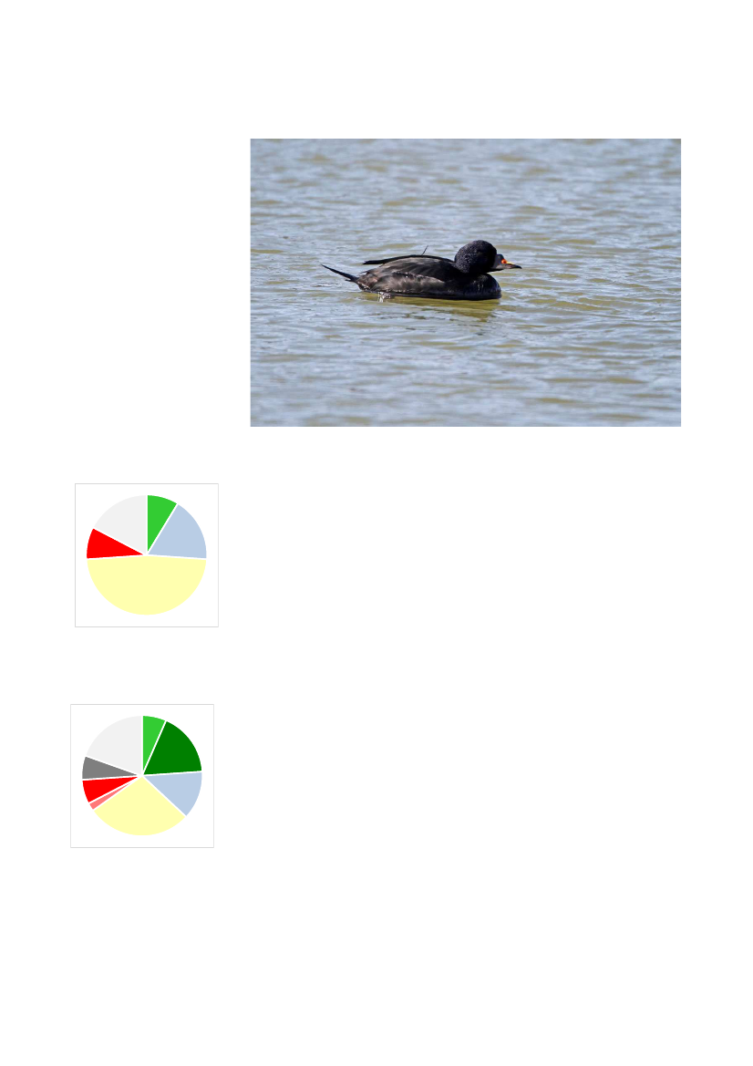 2135714_0042.png