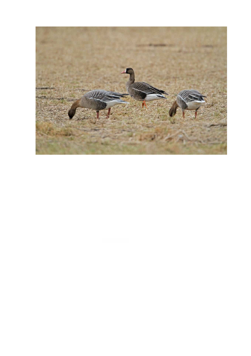 2135714_0045.png
