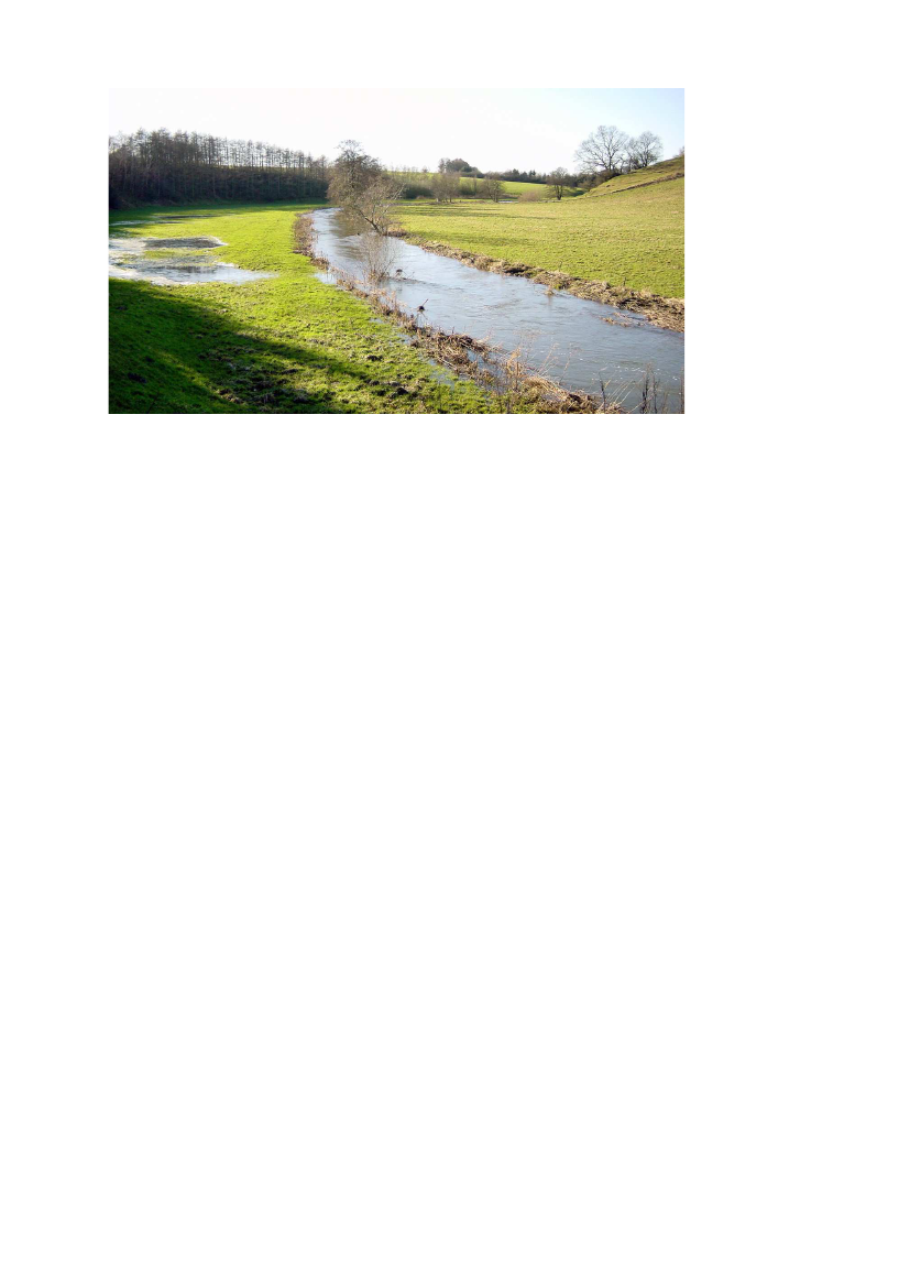 2136561_0009.png