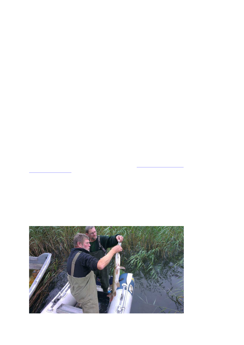 2136561_0018.png