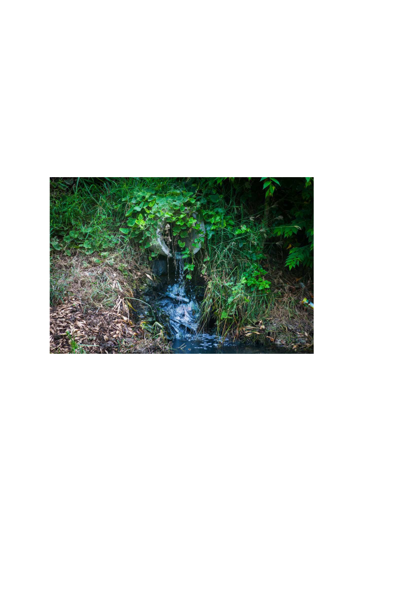 2136561_0027.png
