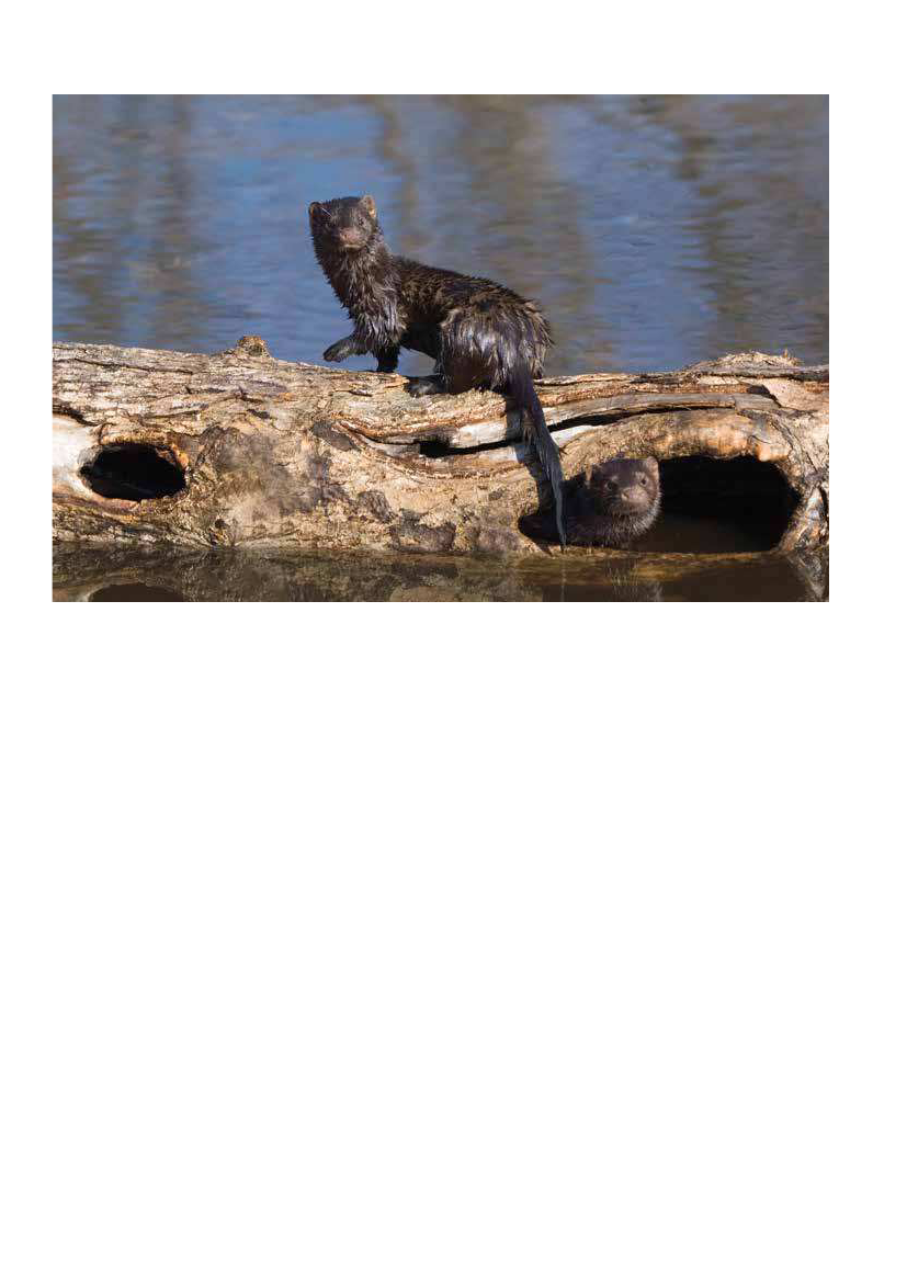 2154814_0008.png