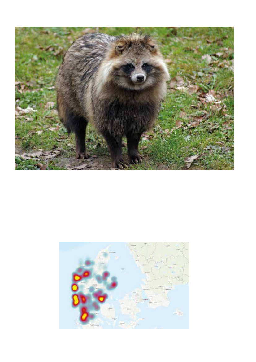 2154814_0010.png
