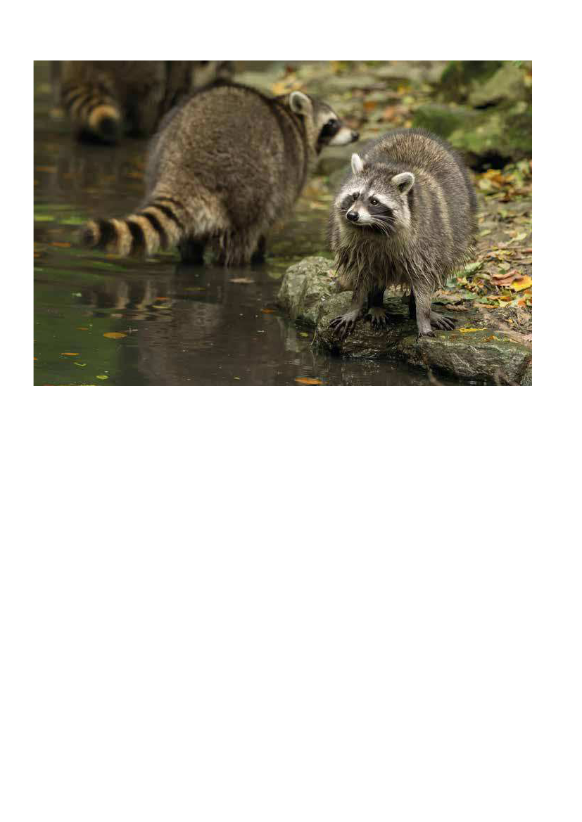 2154814_0012.png