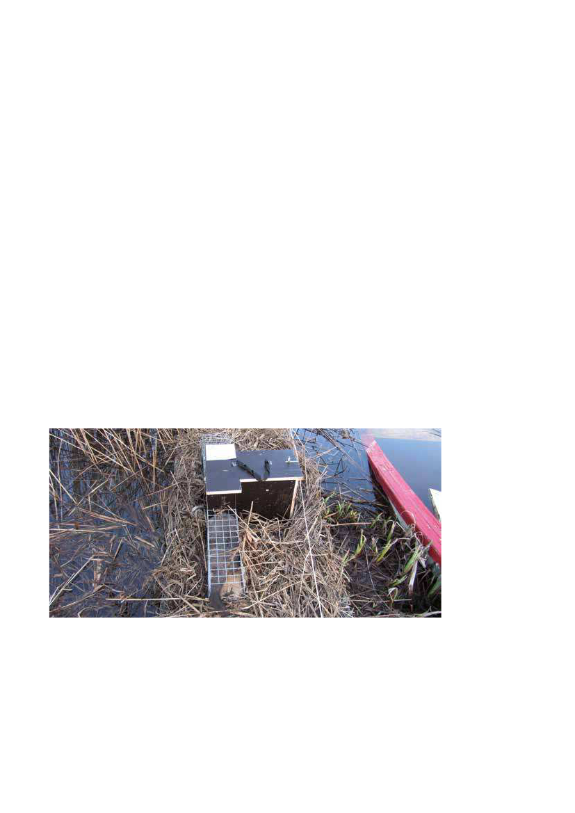 2154814_0025.png