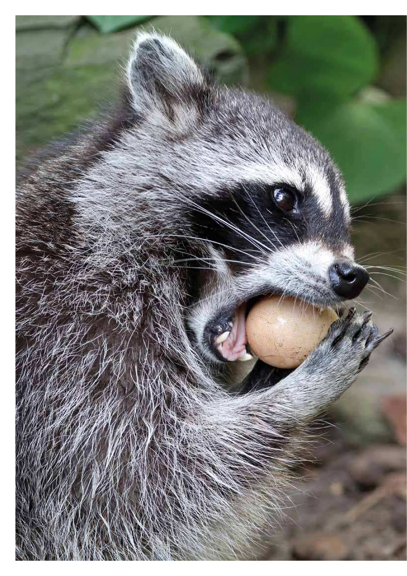 2154814_0032.png