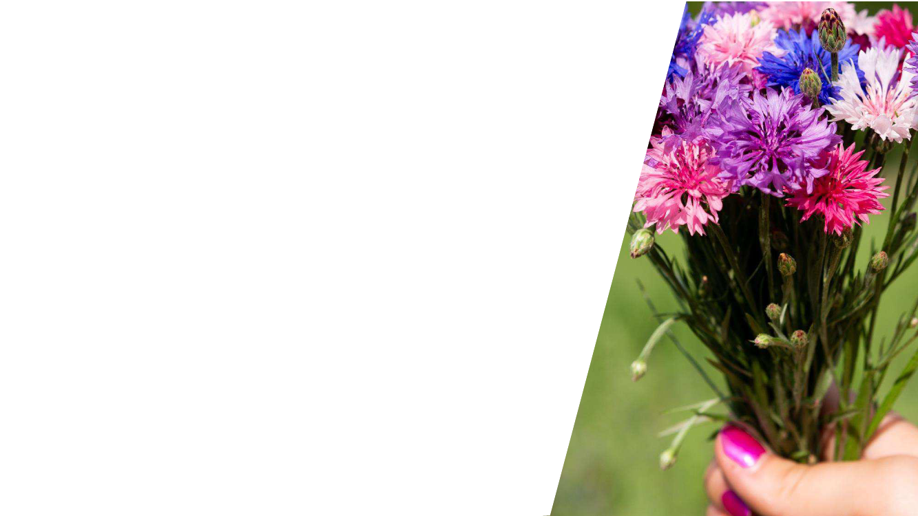 2165695_0013.png