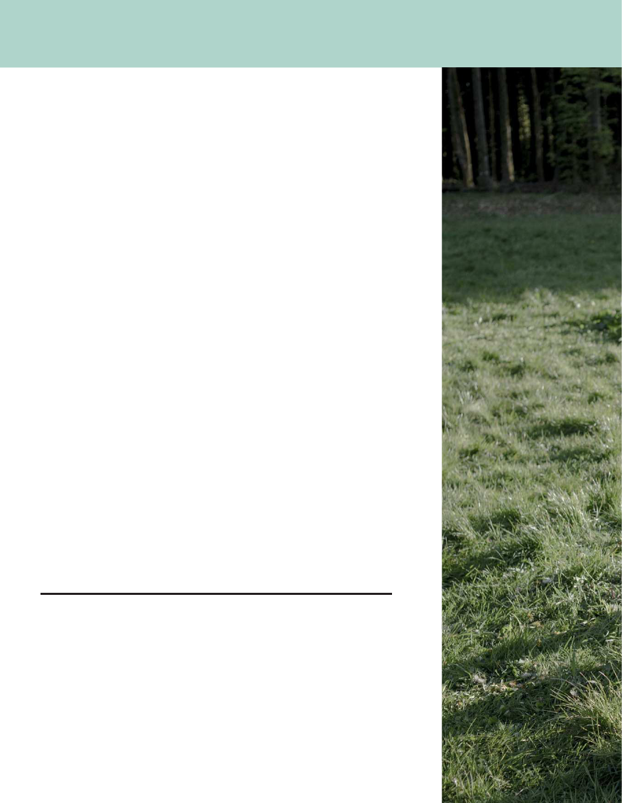 2176026_0016.png