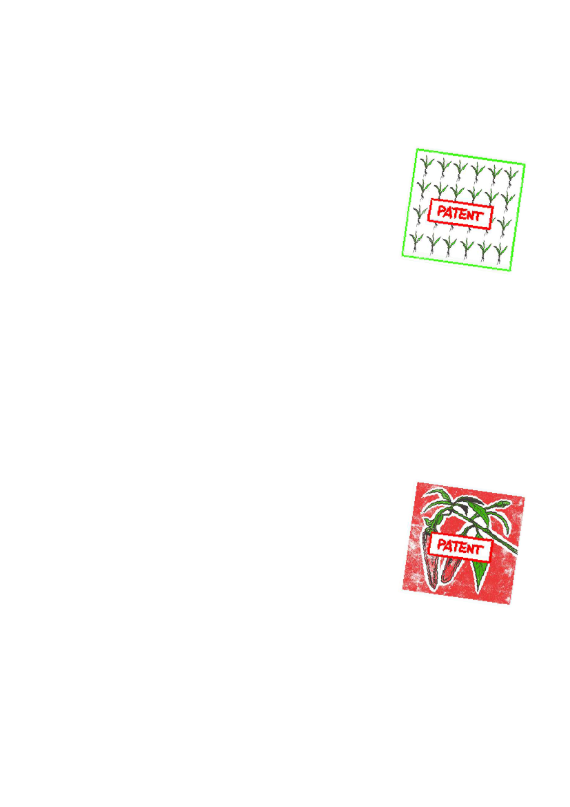2183010_0024.png