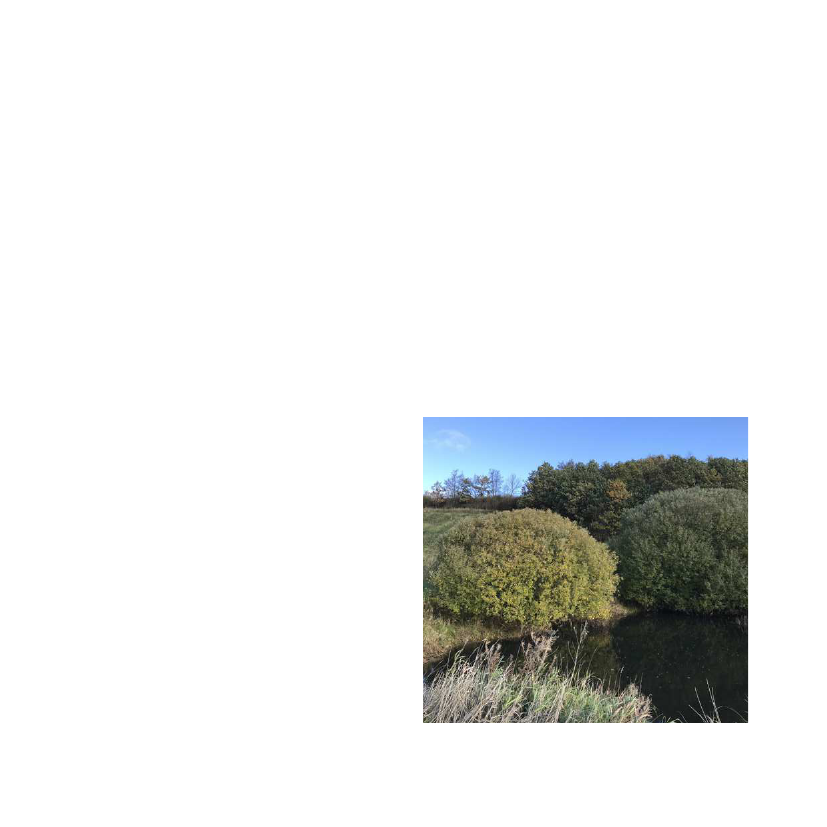 2208756_0006.png