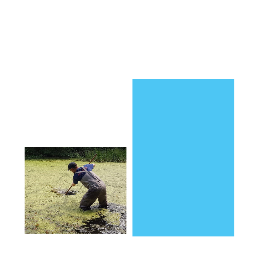 2208756_0022.png
