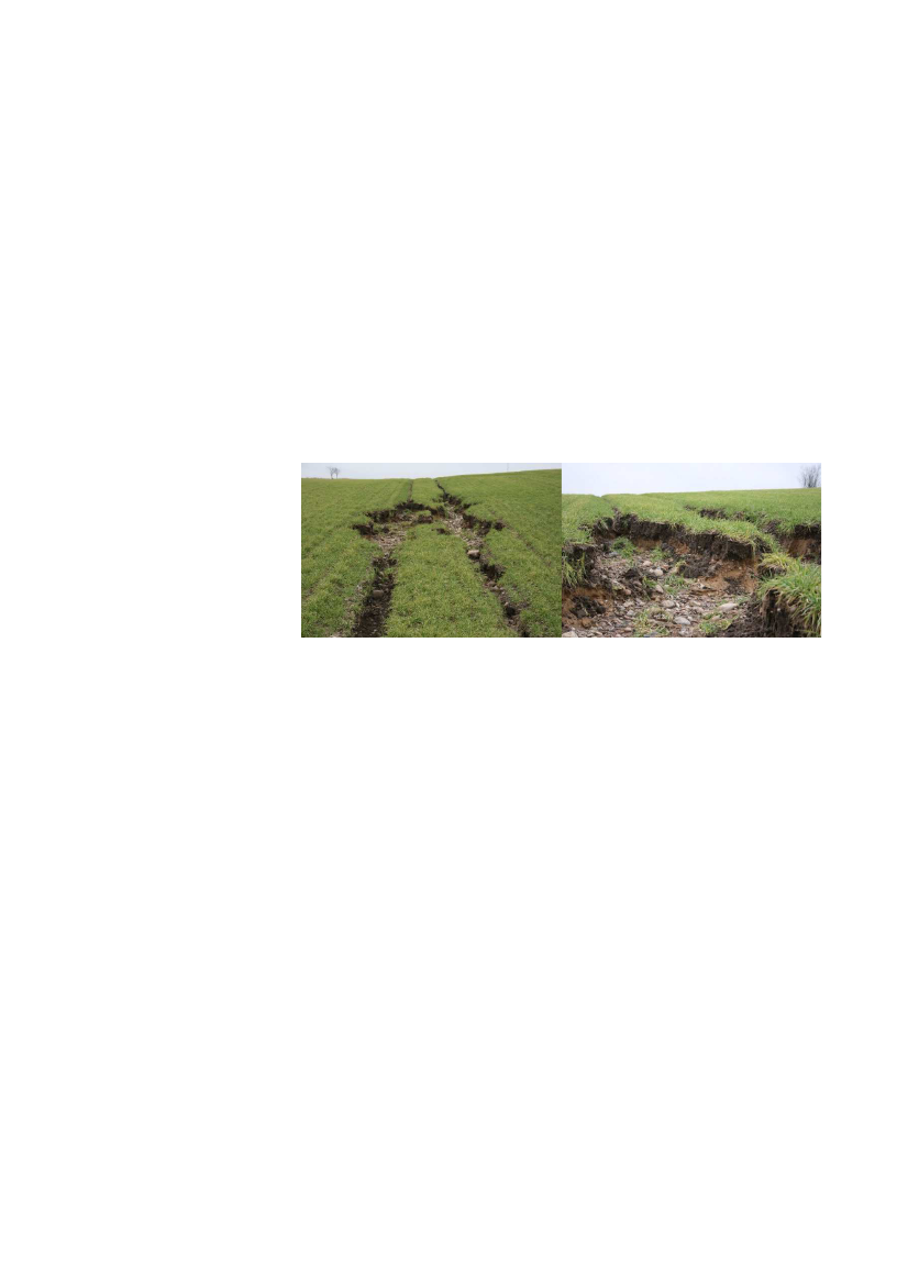 2214756_0063.png